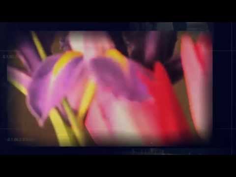 download lagu mp3 mp4 Ellyn Lichvar, download lagu Ellyn Lichvar gratis, unduh video klip Download Ellyn Lichvar Mp3 dan Mp4 Youtube Gratis