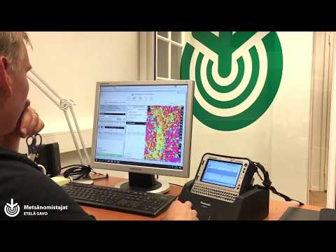 Puukaupan toimeksianto - hoidamme puukaupan alusta loppuun puolestasi