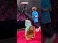 ADLEY Does A SPLiT On STAGE She Shows Off Her Moves To The Crowd At VidSummit With Niko Dad