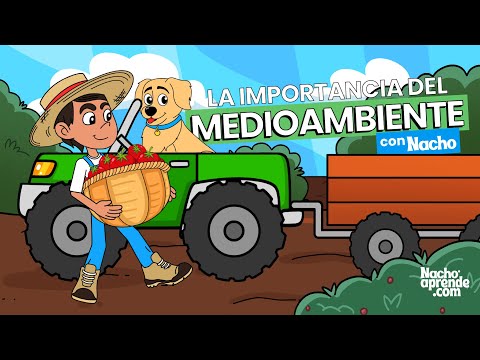 ¿Cómo Cuidar El Medio Ambiente? | Ciencias Naturales Para Niños | Videos Educativos