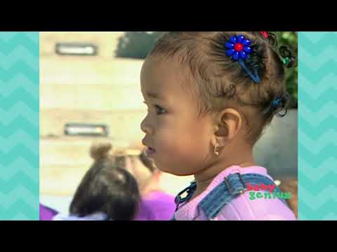 Baby Genius Fun | Counting Songs | Plus Lots More Nursery Rhymes | 30 Minutes Compilation