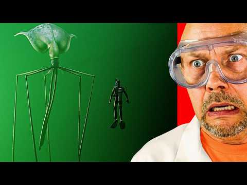 Craziest Ocean Creatures Caught On Camera