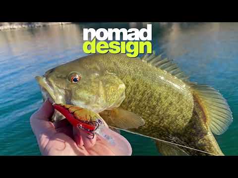 Oliver Ngy Fishes Nomad Design D-Trak Crankbait