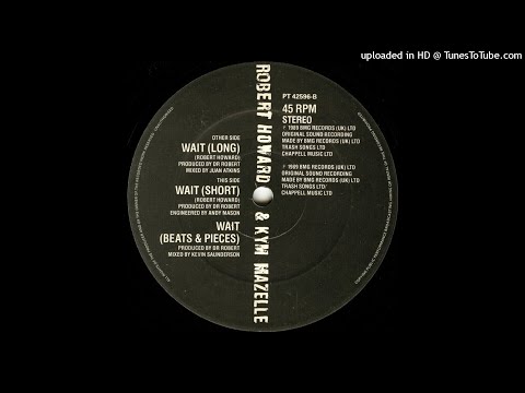 Robert Howard & Kym Mazelle | Wait (Long)