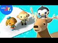 Pinto To The Rescue Octonauts Above Beyond Netflix Jr