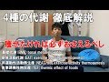 【前編】体脂肪10%切りたいなら必ず知るべき「代謝」について徹底解説