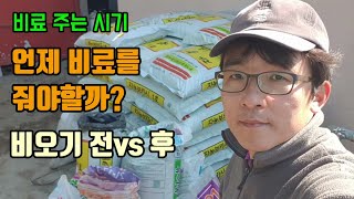 비료 주는 시기 비료주는방법 언제비료를 줘야할까요? 비오기 전후? 비료살포기로 편하게 비료 뿌리기 노지감귤 …