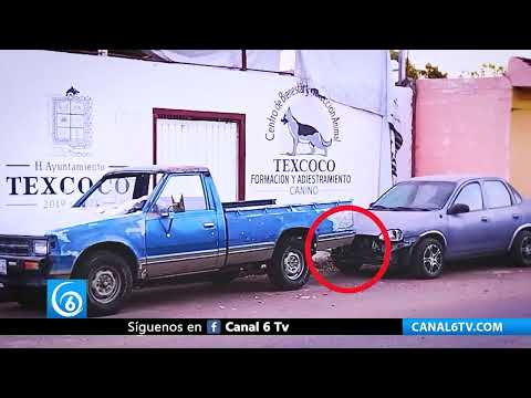 Video: Oficinas del ayuntamiento en Texcoco, rodeadas de basura