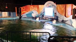 preview picture of video 'Six flags discovery kingdom drench show 2014'