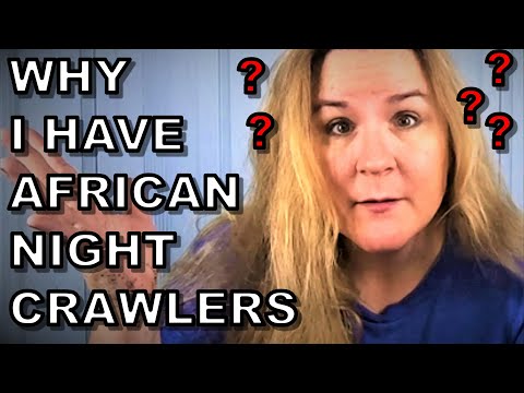 Why I Need African Night Crawlers- Carbon Eating Monsters