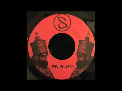 Elephant Man & Mr Vegas - Bun Di Weed (DJ Stepwise Rmx) - Step Pon Remix 001