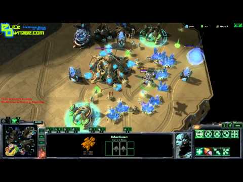 4v4 masters Heart of the Swarm Celestial Bastion