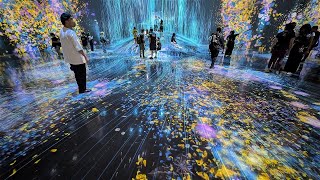 Teamlabs: Borderless - Senses Overload! (Tokyo, Japan)