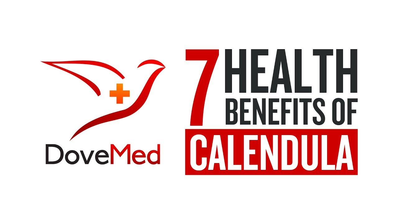 7 Health Benefits Of Calendula
