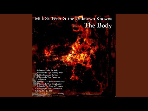 Exhibit D: The Dress in Question