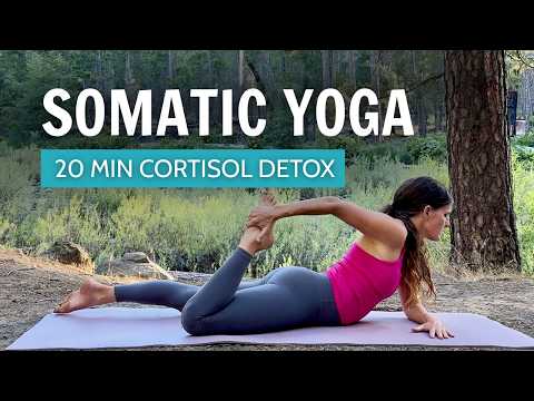 20 Min Cortisol Detox | Somatic Yoga To Release Stress