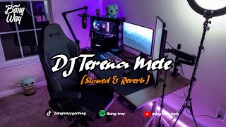 Download lagu DJ Terena Mete X Ingin Rasanya Ku Menangis ( Slowed&Reverb )🎧 mp3