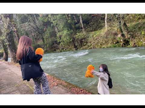 ［山県めぐり編］映えスポットめぐり！3｜中部学院大学・中部学院大学短期大学部