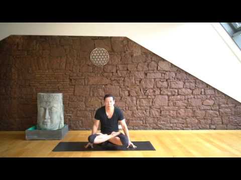 55 Hahn Der Yoga Coach by Stephan Suh