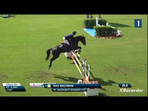 Koulan van Het Maaskantje - Brother to the dam of lot 2
