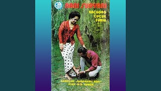 Download lagu Entog Mulang mp3