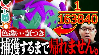 【超鬼畜】色違い×証持ちのバスラオ♂を捕まえるまで帰れません！！！！！！！