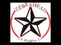 Zebrahead-Running Through My Head(w/ lyrics ...
