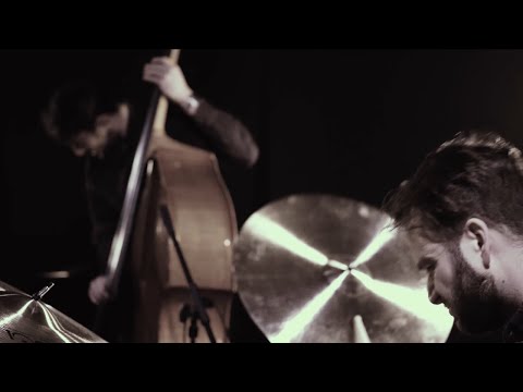 Rok Zalokar Trio - Village Blabbermouth (Official Video)