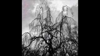 Colin Stetson and Sarah Neufeld - With The Dark Hug Of Time