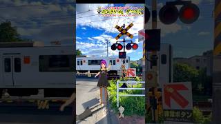 踏切動画 106 #変踏切【ふみきり 鉄道】【電車】【踏切ダンス】【踏切アニメ】「ふみきりdeダンス」　Japanese railroad crossing animation.