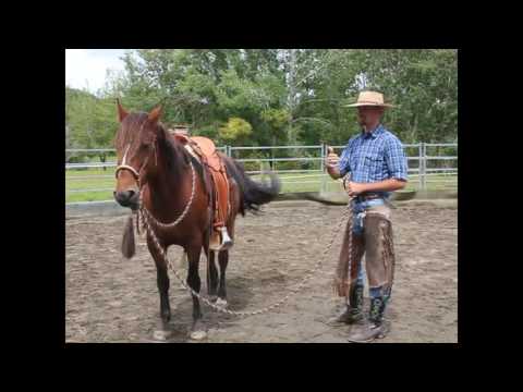 True West Horsemanship &mdash; Forequarter Yield / Turn on the Hindquarters