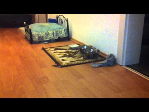 tisa von Radevormwald 08