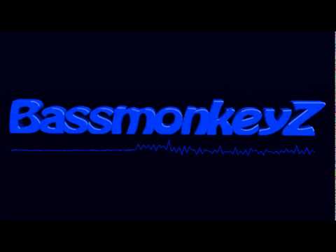 BassmonkeyZ VIDEO TEST 1 ~ Raw style ft Morgane Thaler