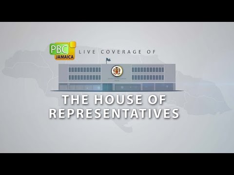 Sitting of the House of Representatives || November 25, 2025