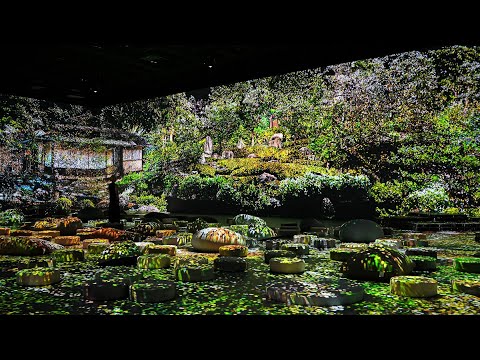 Stillness Immersive Museum