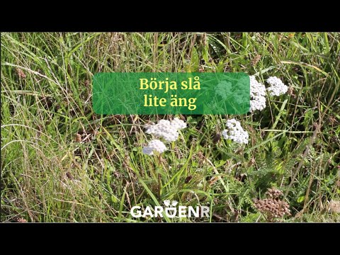 Börja slå lite äng - Trädgårdshacks med GardenR