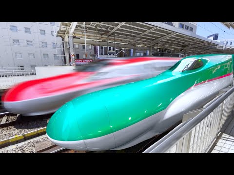 5 Days on Japan’s LONGEST Bullet Train Route 🇯🇵 | 2300km Long-Distance-Journey