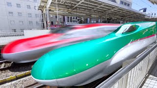 5 Days on Japan’s LONGEST Bullet Train Route 🇯🇵 | 2300km Long-Distance-Journey