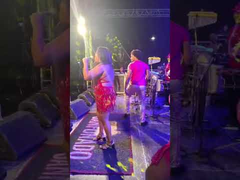 festa da banana Cubatão são Paulo