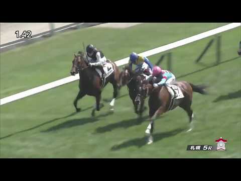 2017 Japan 2YO Newcomer - Lucas (ルーカス) - 莫雷拉