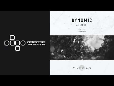 PREMIERE: Bynomic - Amethyst [Another Life Music]