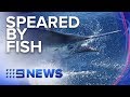 Brothers Speared By Marlin In Freak Fishing Accident Nine News Australia