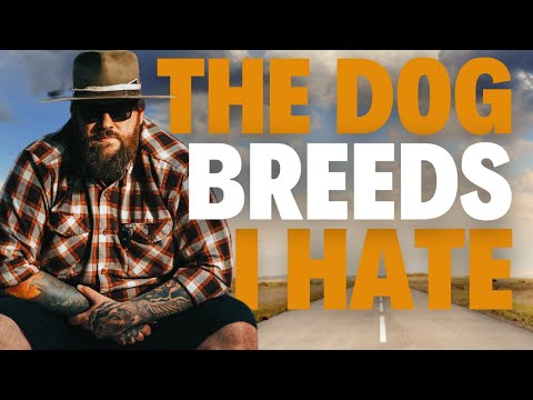 The Dog Breeds I HATE To Work With As A Dog Trainer!