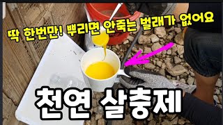 이거를 텃밭에 딱! 한번만! 뿌리면 안죽는 벌레가 없습니다!  #천연살충제 #막걸리식초살충제 #베이킹소다천연…