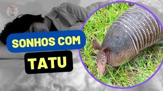 Sonhar com Tatu ( vários significados deste sonho )