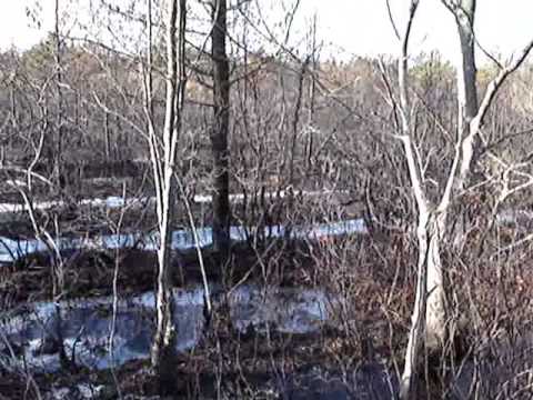 haunted houses near paterson nj haunted houses near paterson nj