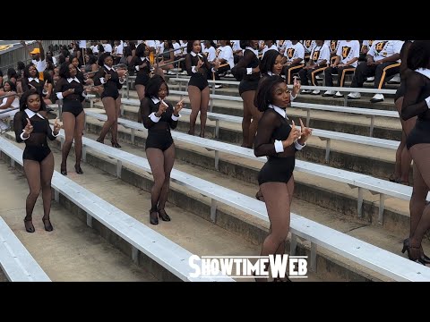 "Whoop That" Alabama State Stingettes