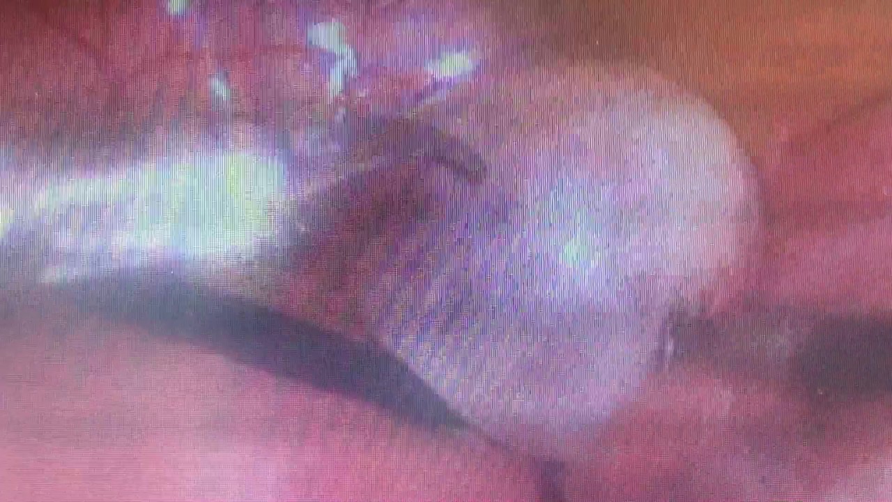 Guillermo Nájera González-16