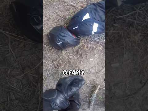 Biker Hits Deer At 100mph! 😨 Credit: @Jdev17