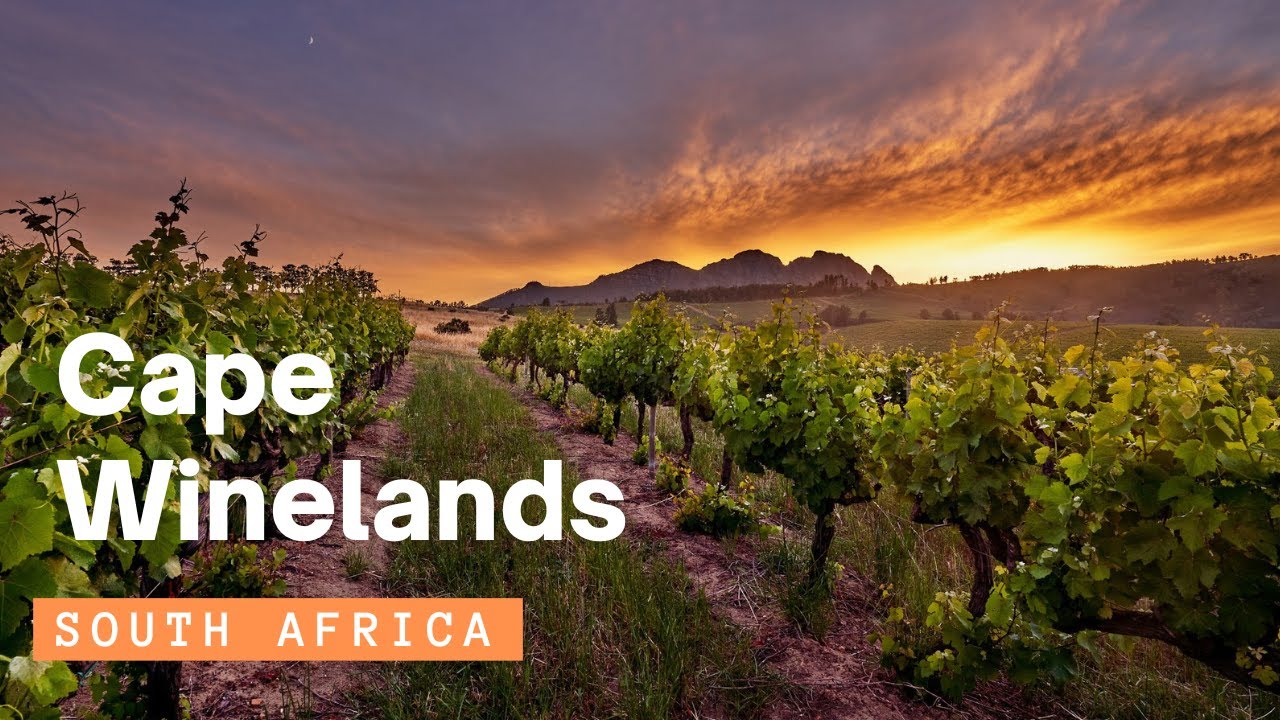 Cape Winelands — Stellenbosch & Franschhoek 4K